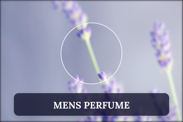 mens perfume