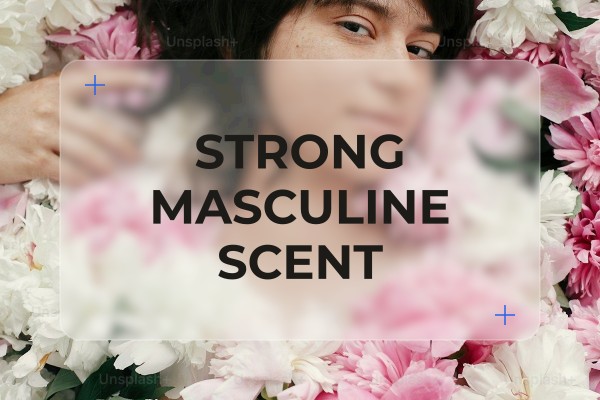 strong masculine scent