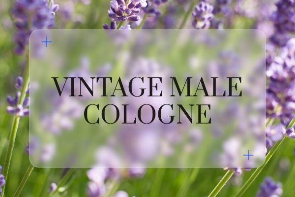 vintage male cologne